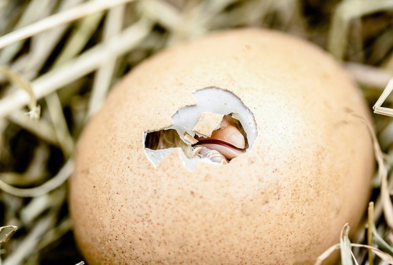 Is the Roth 401k all it's cracked up to be for US expats?